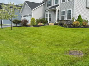 Guido P.'s lawn service service result