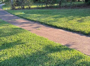 Janel B.'s turf maintenance service result