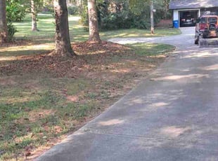 Marian F.'s turf care service result