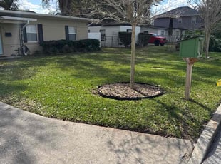 Tony A.'s turf maintenance service result