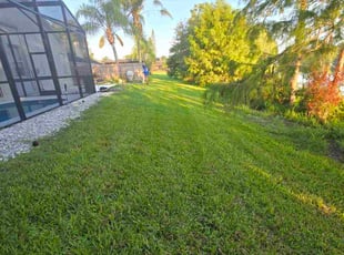 Devin U.'s lawn maintenance service result