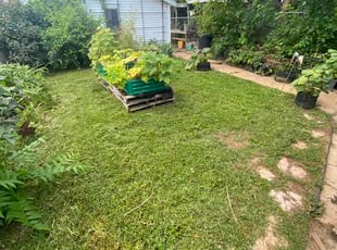 Danielle W.'s lawn care service result