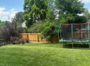 Cathy T.'s lawn maintenance service result