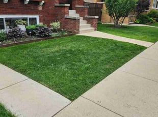 Kim S.'s lawn service service result