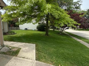 Tom S.'s lawn service service result