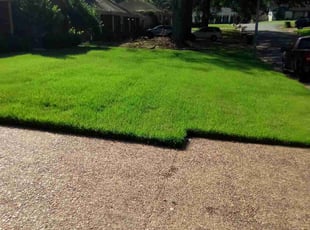 Steve W.'s lawn maintenance service result