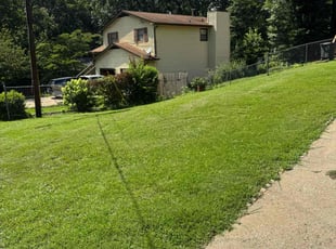 Ivette G.'s grass maintenance service result