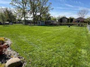 Michael P.'s grass maintenance service result