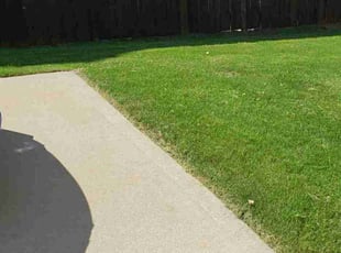 Bryan B.'s grass maintenance service result