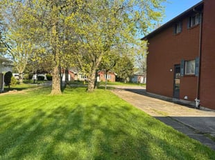 Tim F.'s turf maintenance service result