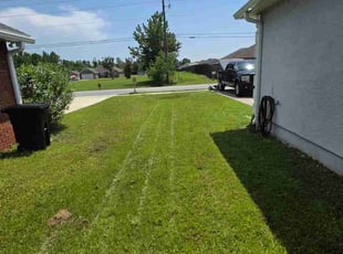 Adeeb D.'s lawn care services service result