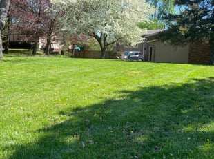 William K.'s turf maintenance service result