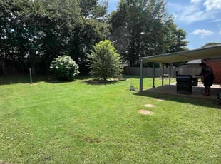 Ken R.'s grass cutting service result