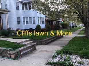 Denise W.'s turf care service result