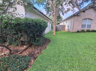 Dorian D.'s lawn care service result