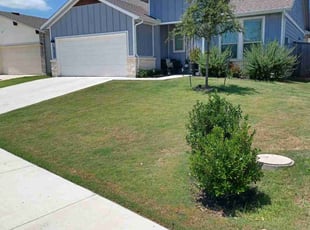 Debbie G.'s turf maintenance service result