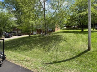 Alison R.'s lawn maintenance service result