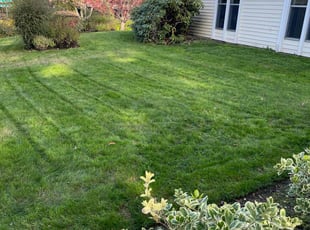 William R.'s turf maintenance service result