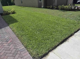 Sonja M.'s grass maintenance service result