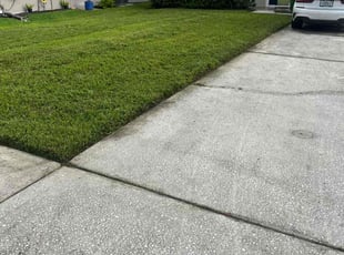 Beth M.'s grass cutting service result
