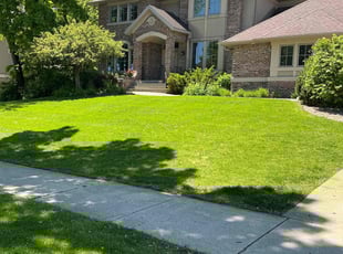 Nikola Z.'s turf maintenance service result