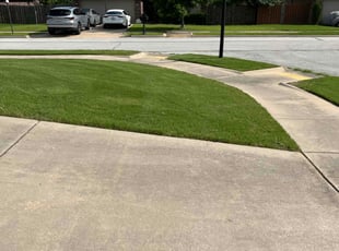 Will S.'s grass cutting service result