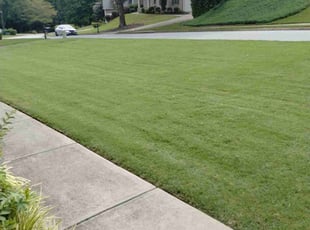 Rhonda M.'s lawn maintenance service result