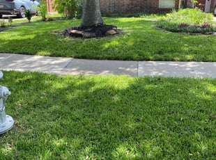 Kristen D.'s yard care service result