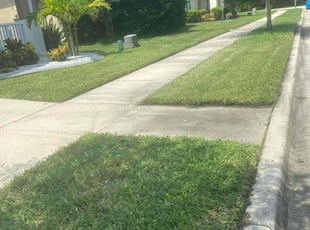 Megan S.'s lawn care services service result