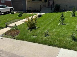 Kiki B.'s lawn maintenance service result