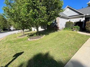 Margaret A.'s lawn maintenance service result