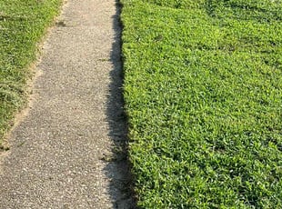 Ronald W.'s lawn maintenance service result