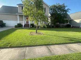 Tiffany C.'s grass cutting service result