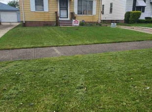 Harry H.'s lawn service service result