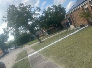 Lee M.'s lawn maintenance service result