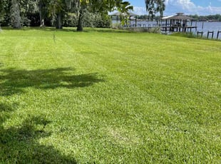 Lisa W.'s lawn service service result