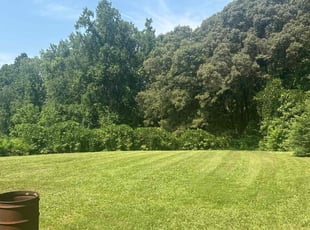 Karan T.'s lawn maintenance service result