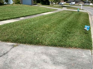 Carrie M.'s yard care service result