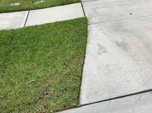 Naresh V.'s grass maintenance service result