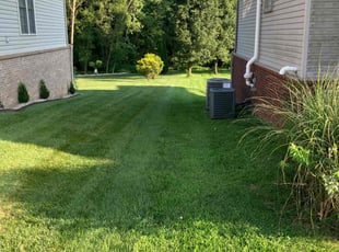 Michael G.'s lawn maintenance service result