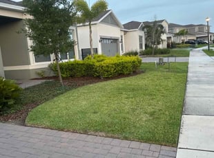 Liza V.'s lawn care services service result