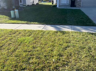 Kaleb M.'s grass cutting service result