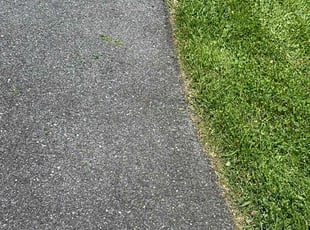 deborah b.'s lawn care services service result