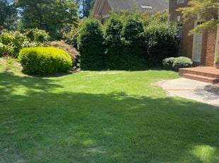 Joan M.'s turf maintenance service result