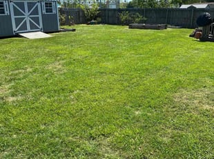Antonio S.'s grass maintenance service result