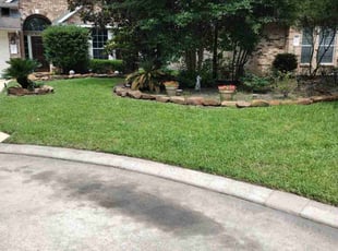 Nicole B.'s grass maintenance service result