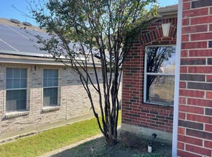 Micheal N.'s Bush Trimming service result