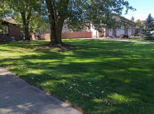 Cheryl E.'s grass maintenance service result