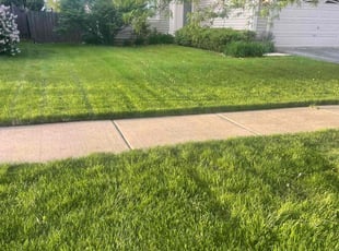 Coley T.'s lawn care service result
