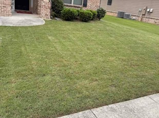 Douglas F.'s lawn service service result